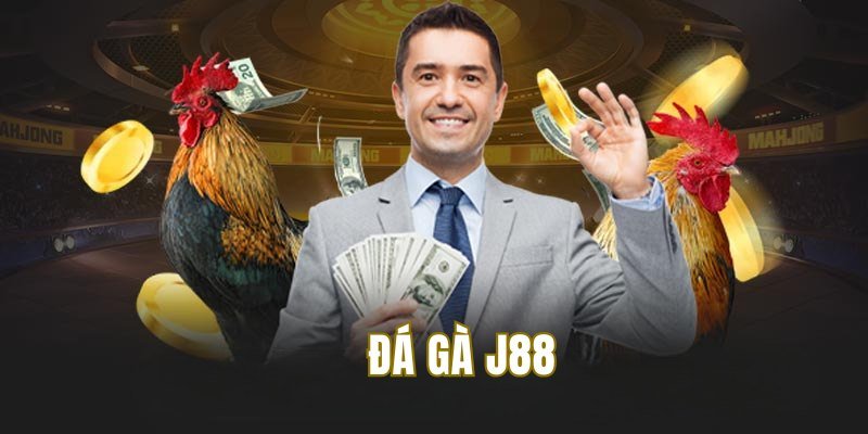 đá gà J88